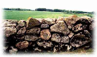 One of the many stone walls built by Leonard Gyllenhaal at Höberg, his estate in Västergötland, Sweden.